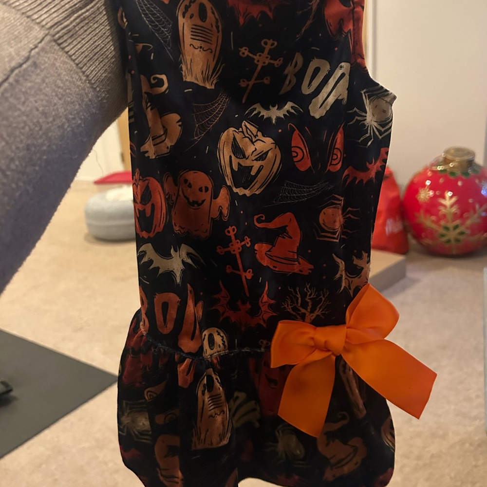 Spooky Halloween Dog Dress with Orange Bow